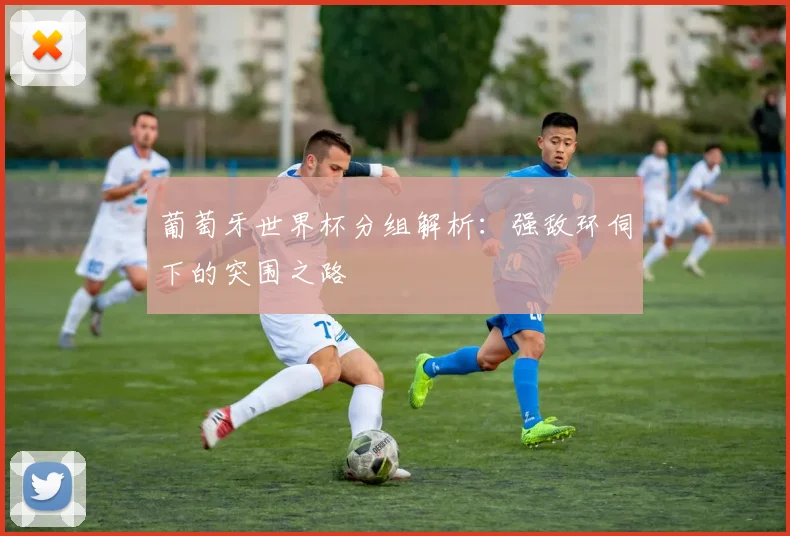 葡萄牙世界杯分组解析：强敌环伺下的突围之路