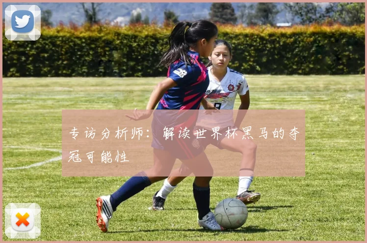 专访分析师：解读世界杯黑马的夺冠可能性