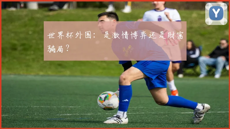 世界杯外围：是激情博弈还是财富骗局？