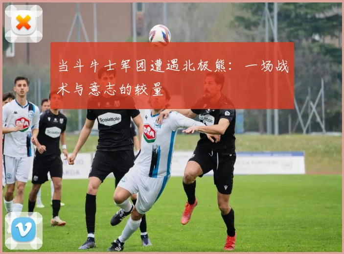 当斗牛士军团遭遇北极熊：一场战术与意志的较量