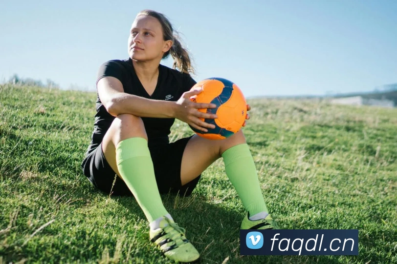 乐鱼体育app登录入口平台生态图