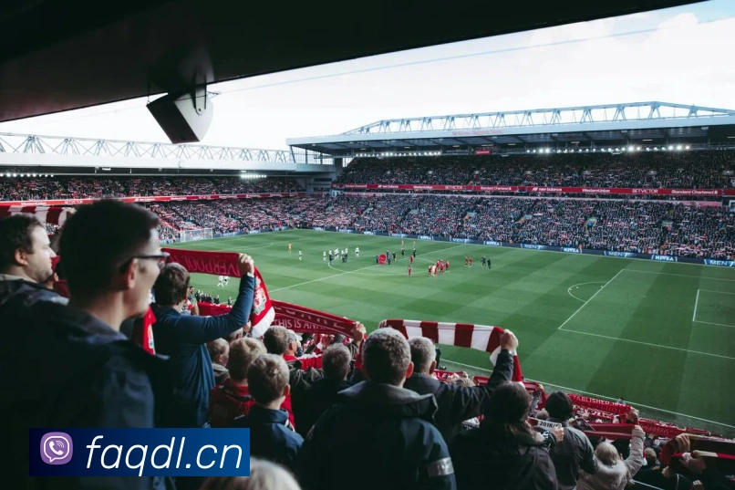 乐鱼体育app登录入口APP 封面图